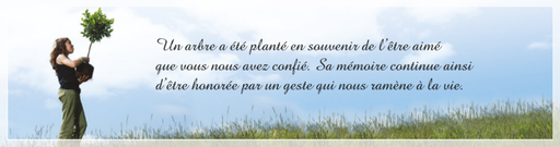 Signets Programme Héritage